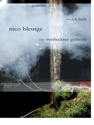 cover image of verdecktes gelände